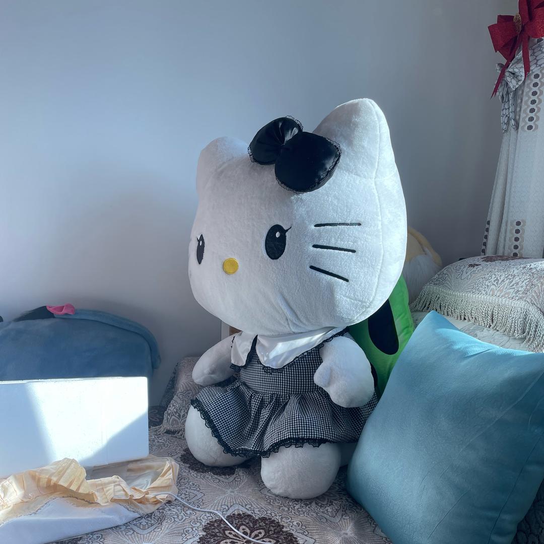 爱红梅