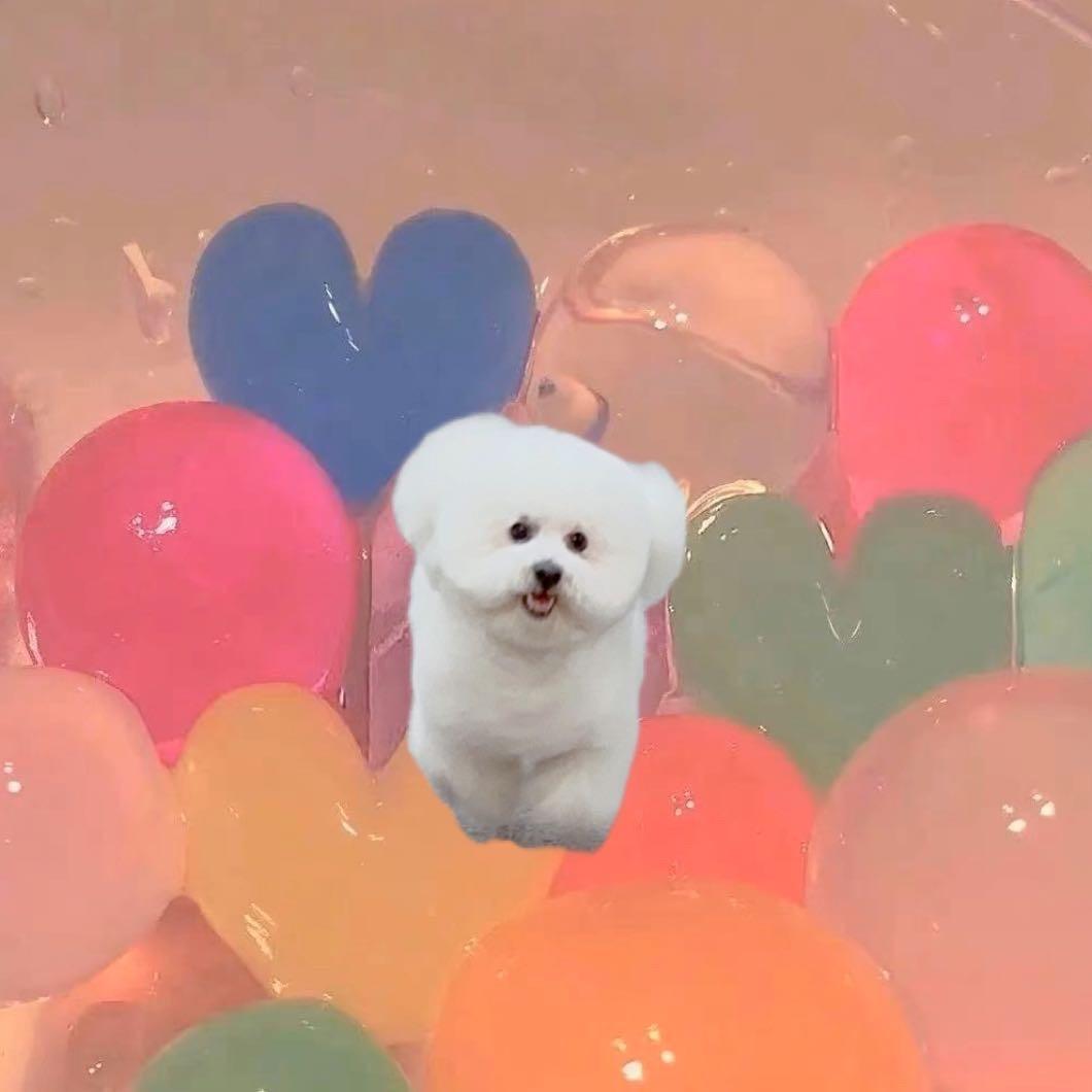 芬达和小泡芙