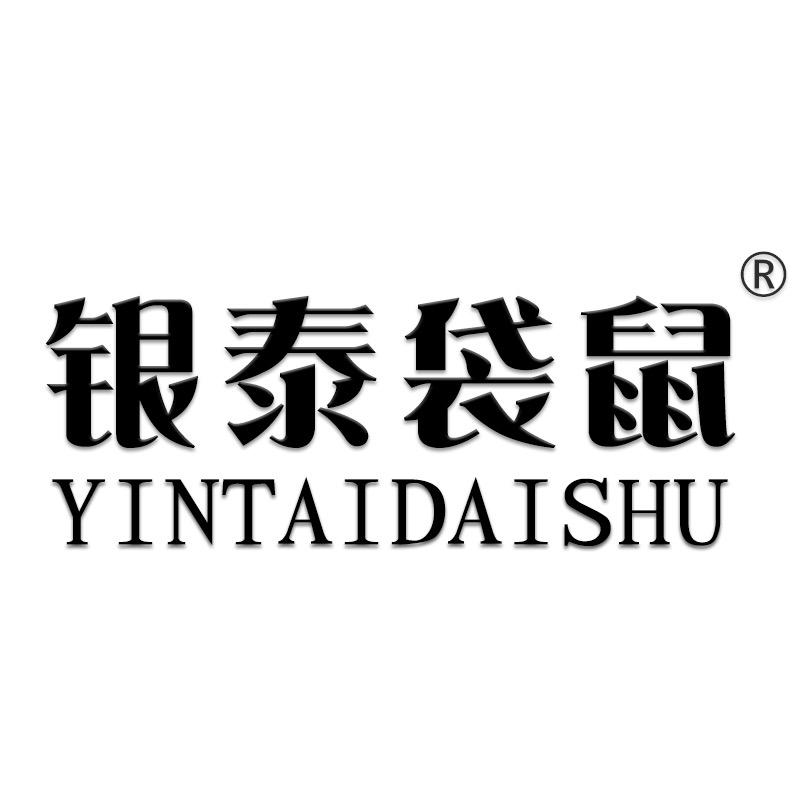 银泰袋鼠精品男鞋