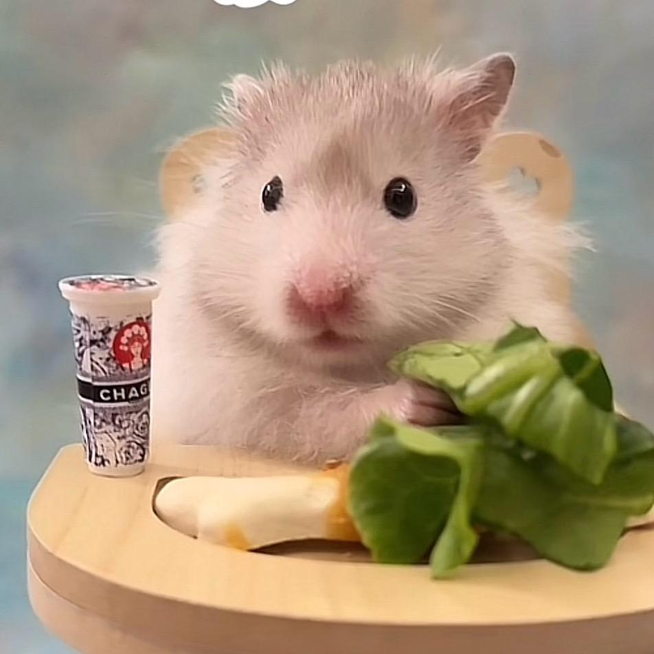 呆小呆