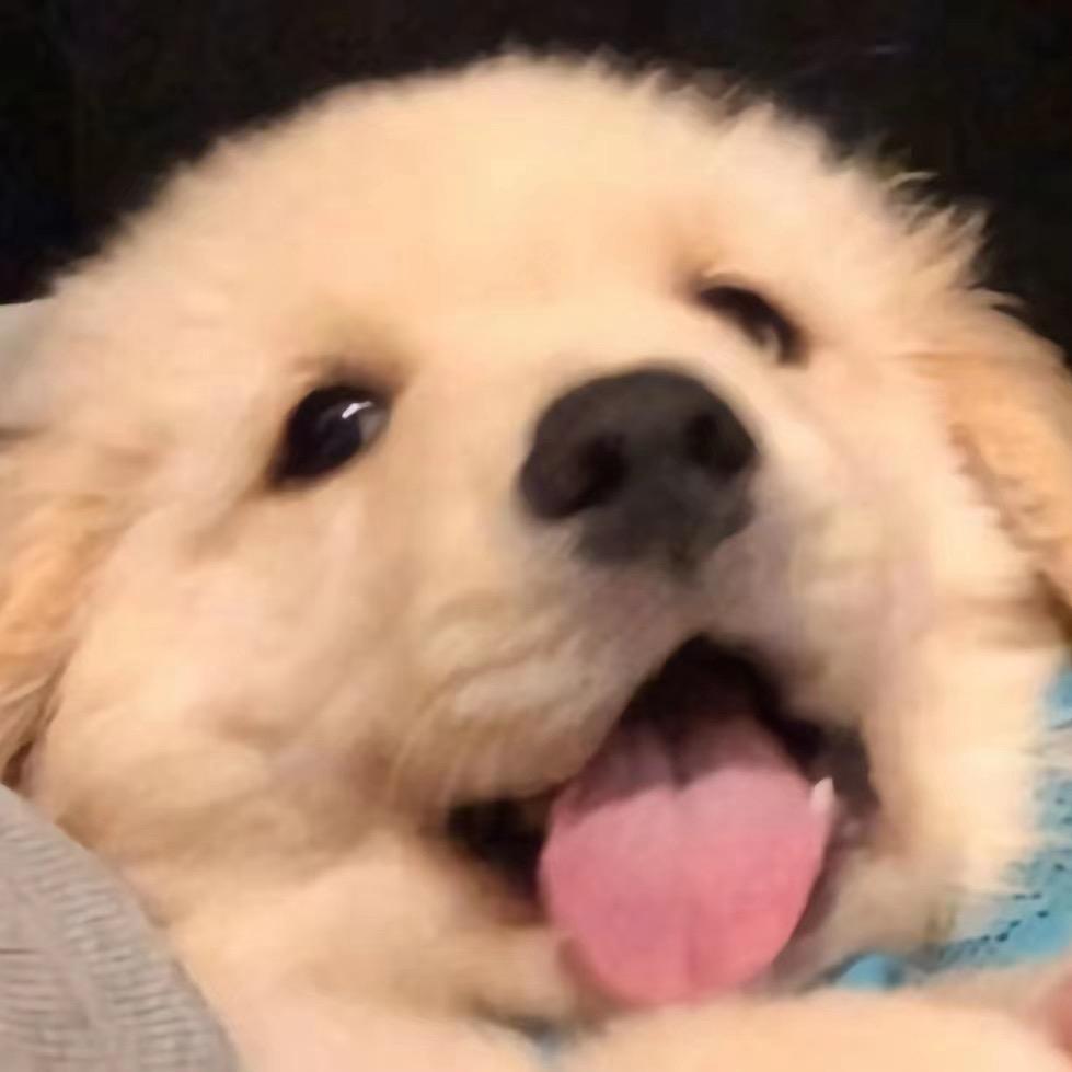 林00