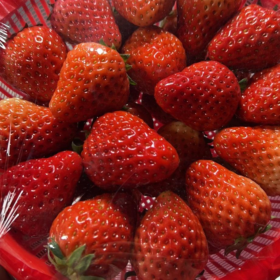 永西🍓基地