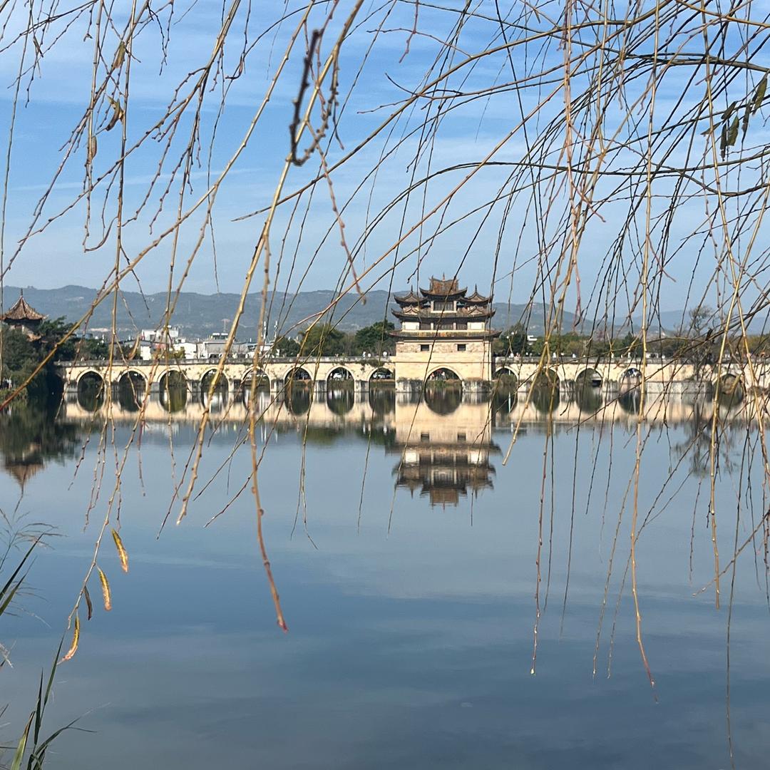 不吃猫的鱼.
