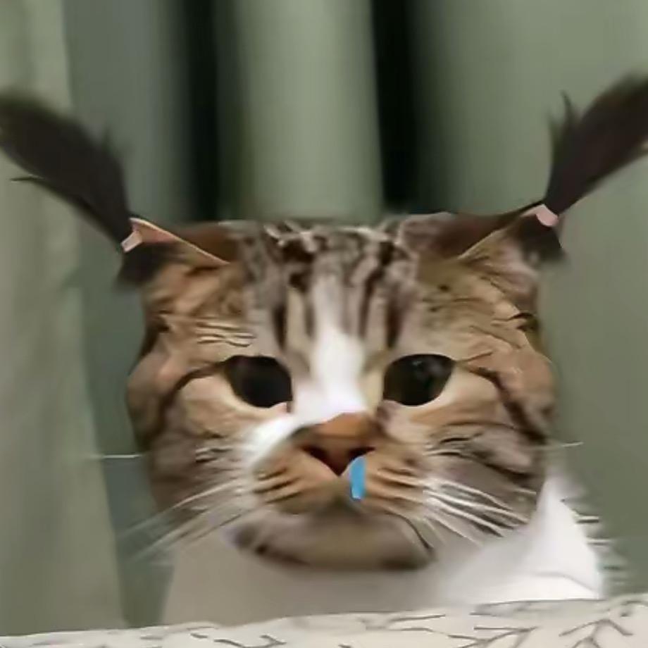 贝贝💲