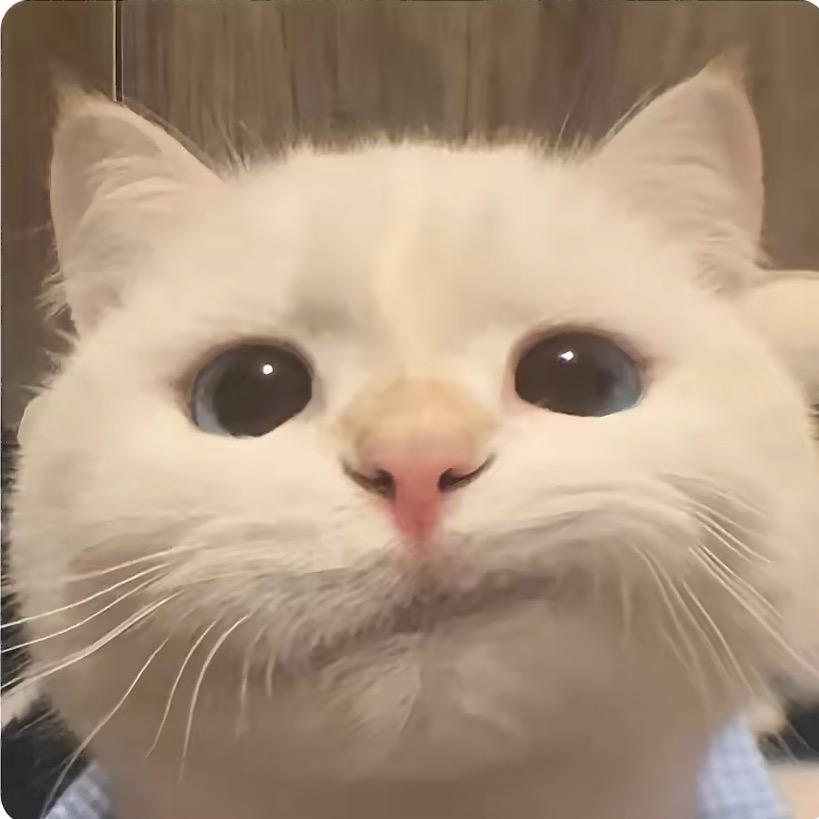 𝐰𝐞𝐚𝐥𝐭𝐡