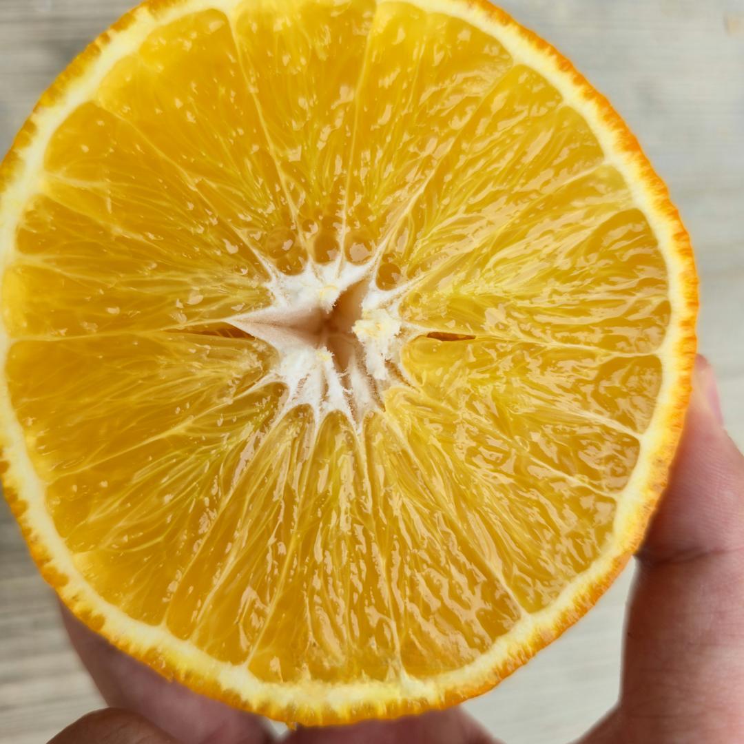 重庆鑫向果鲁俊优品小铺