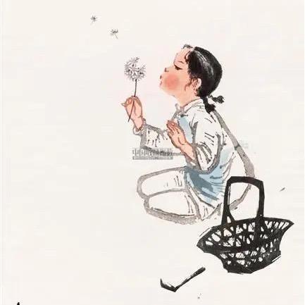 小涵