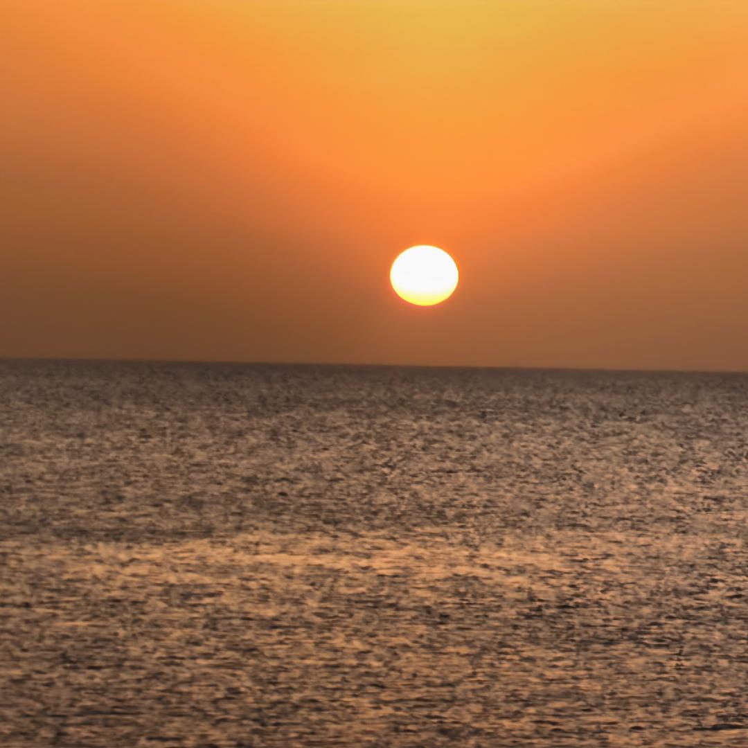 👉国产•好菇凉💃👈