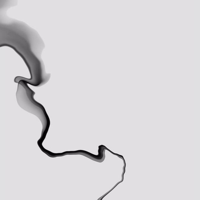 传世竹缘实心玉竹