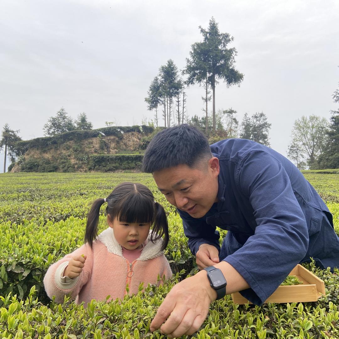 熊伟-四茗山茶