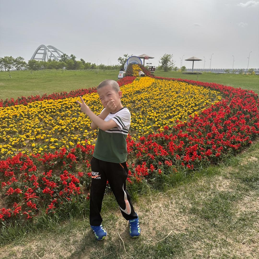 追剧小达人燕子