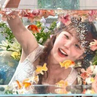 芋头要努力