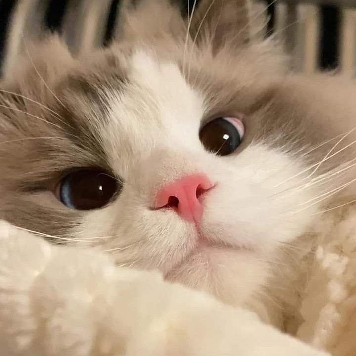 不信