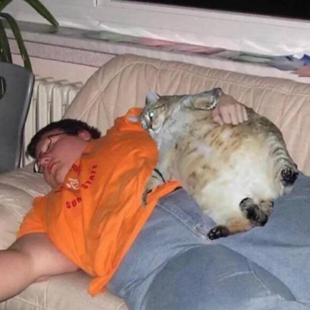 为了她不懂偷狗都敢偷狗