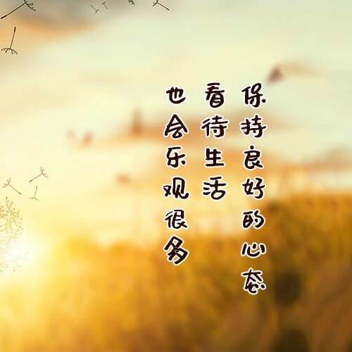 一叶一菩提