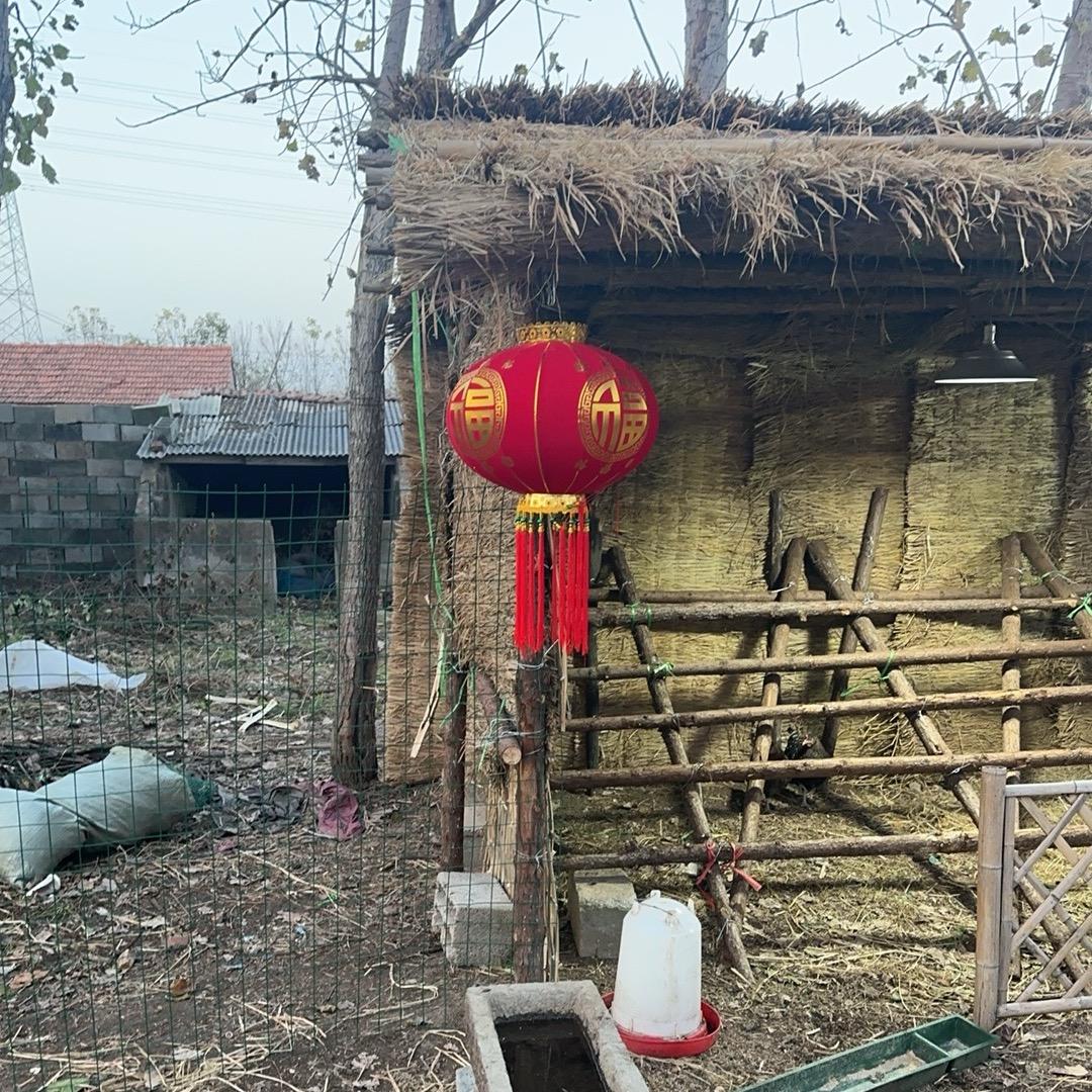 大黑牛农家土货