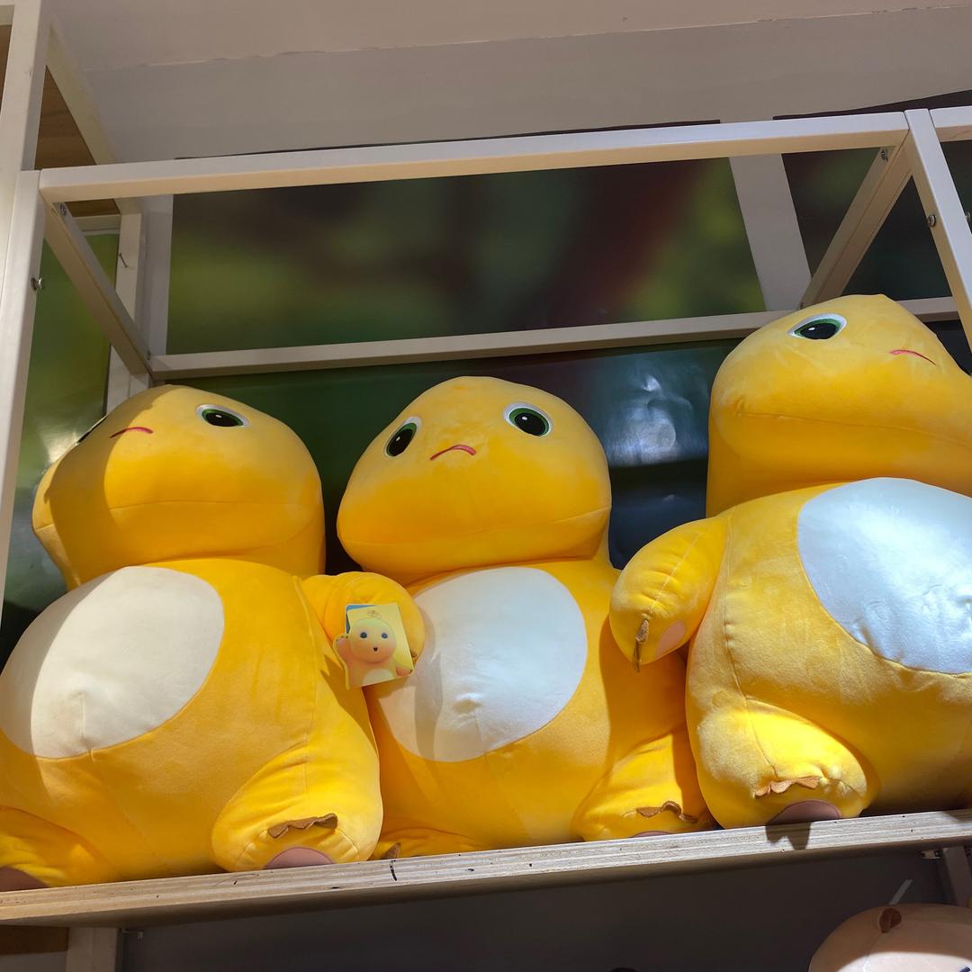 杭州的春夏秋冬