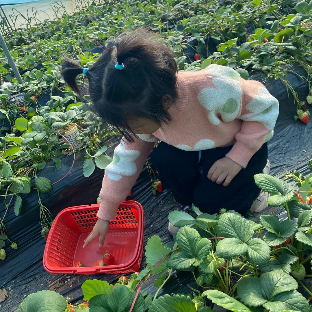 阳光下的曙光丶