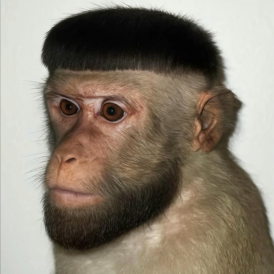 二流子