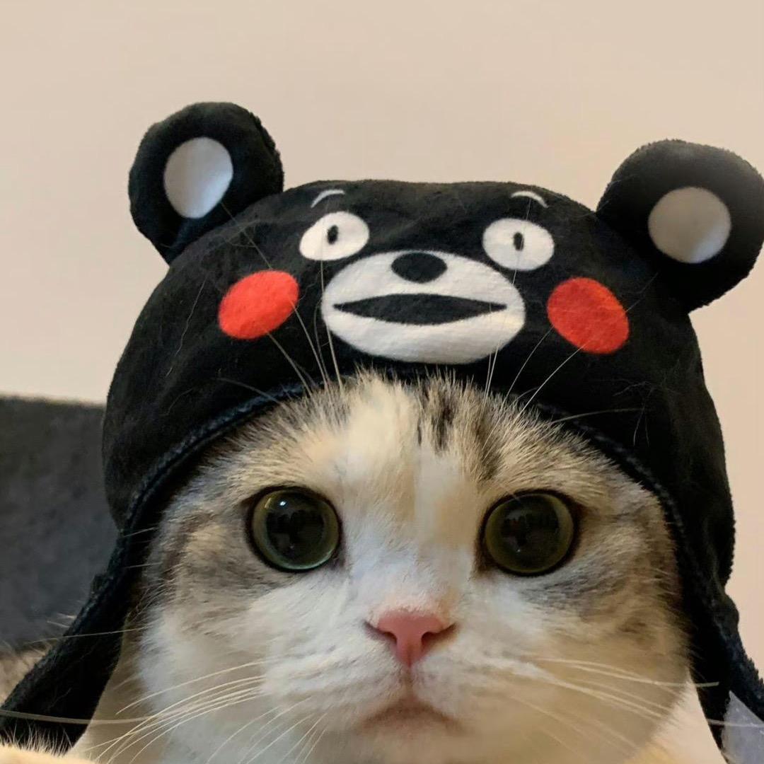 吃饱了撑的