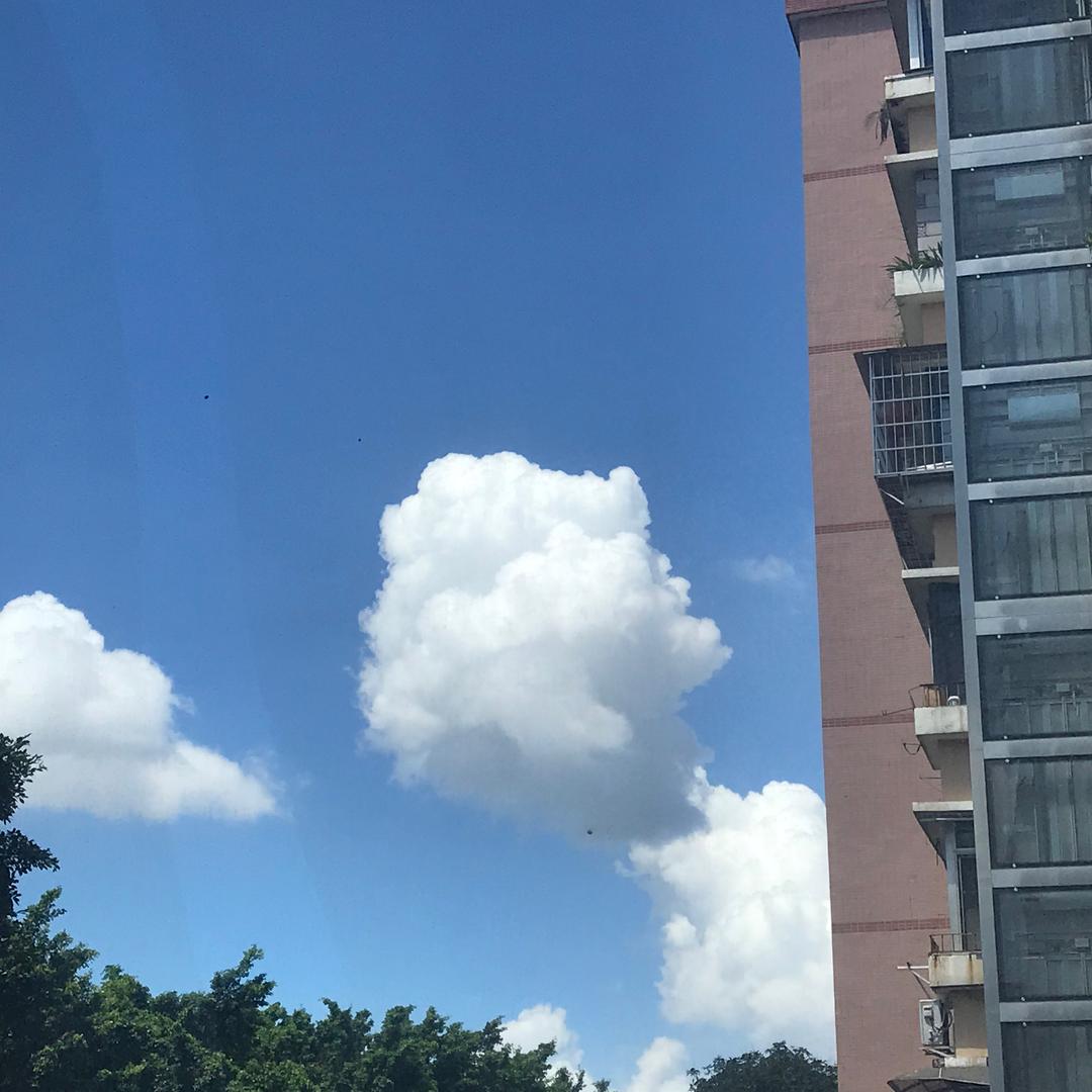 命中注定