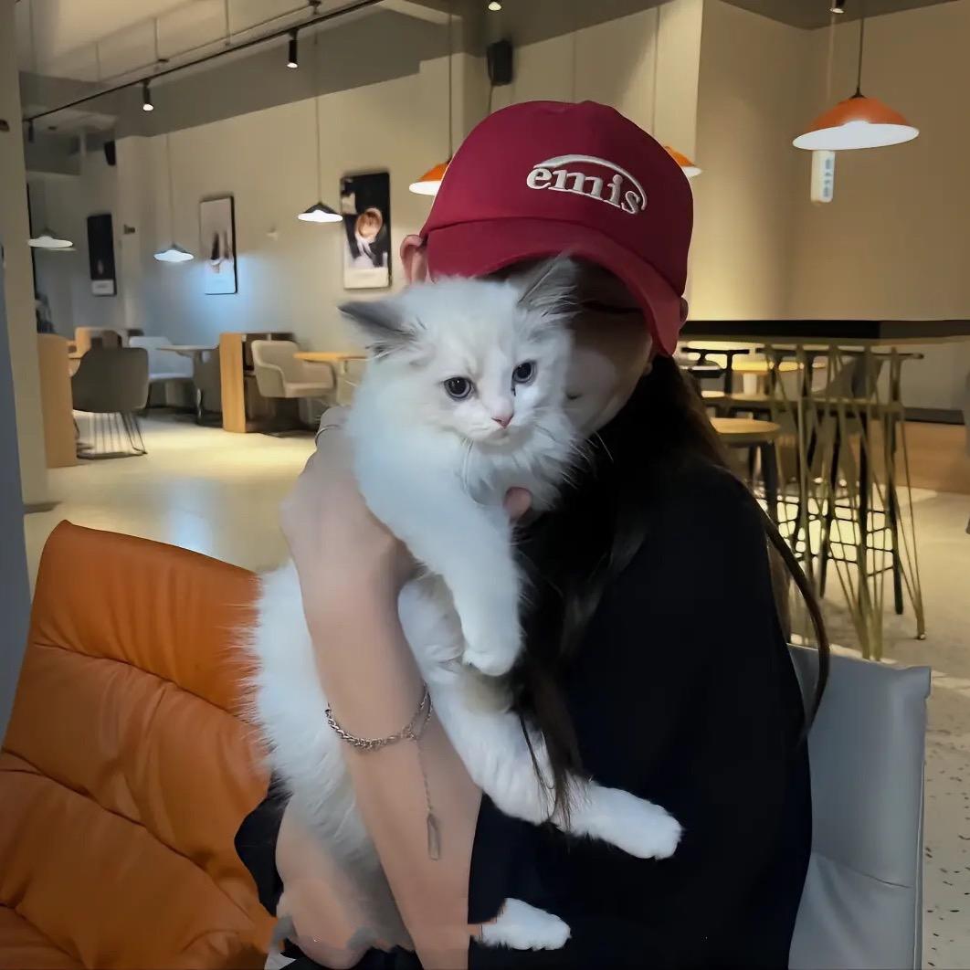 AAA西瓜批发瓜姐