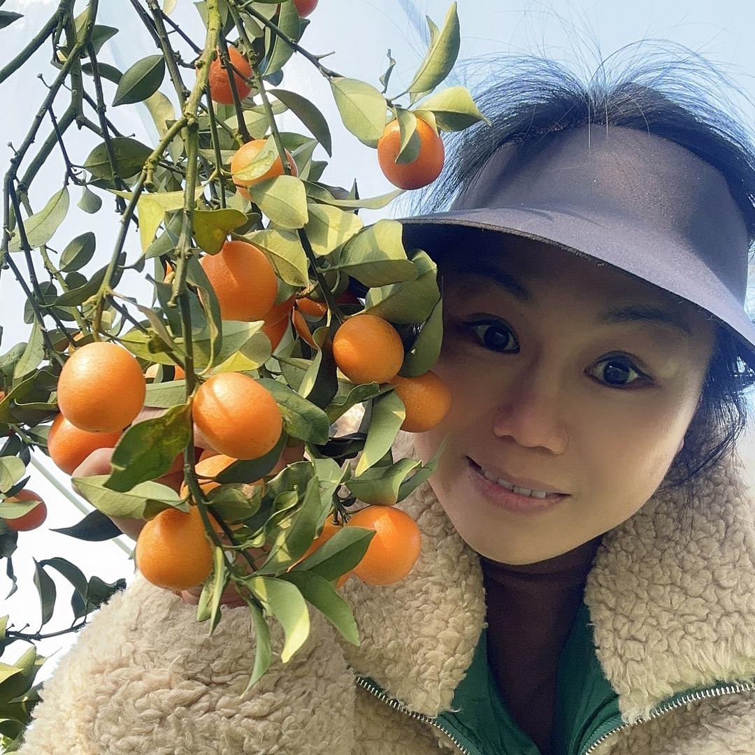 香扬果业