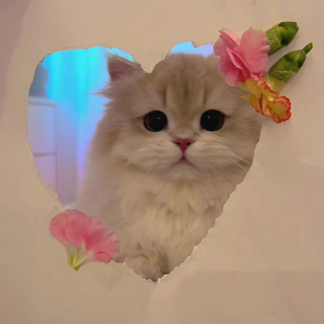 终你