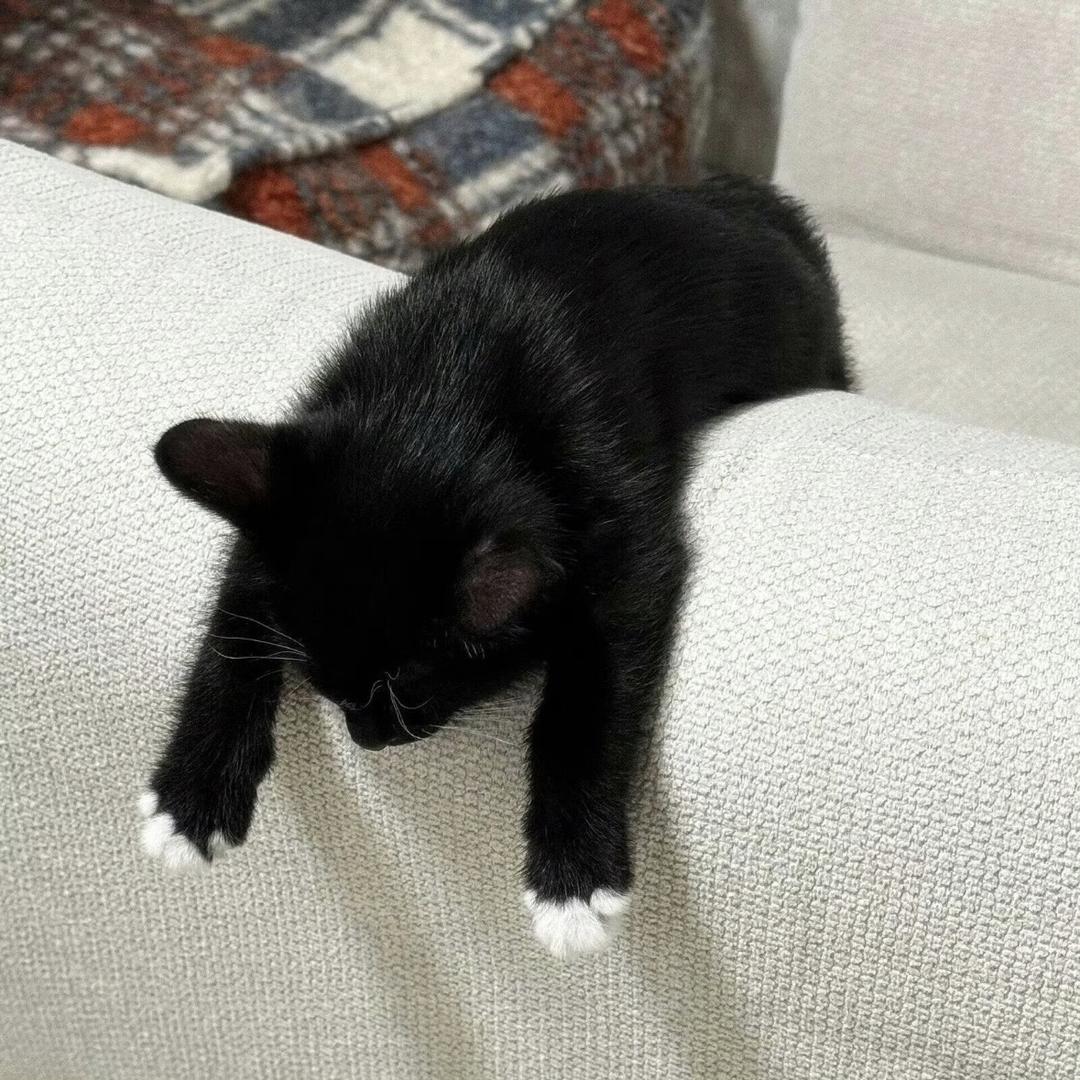 🌈我发现两个秘密