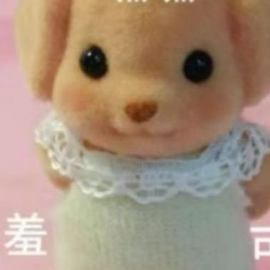 毛球记忆。