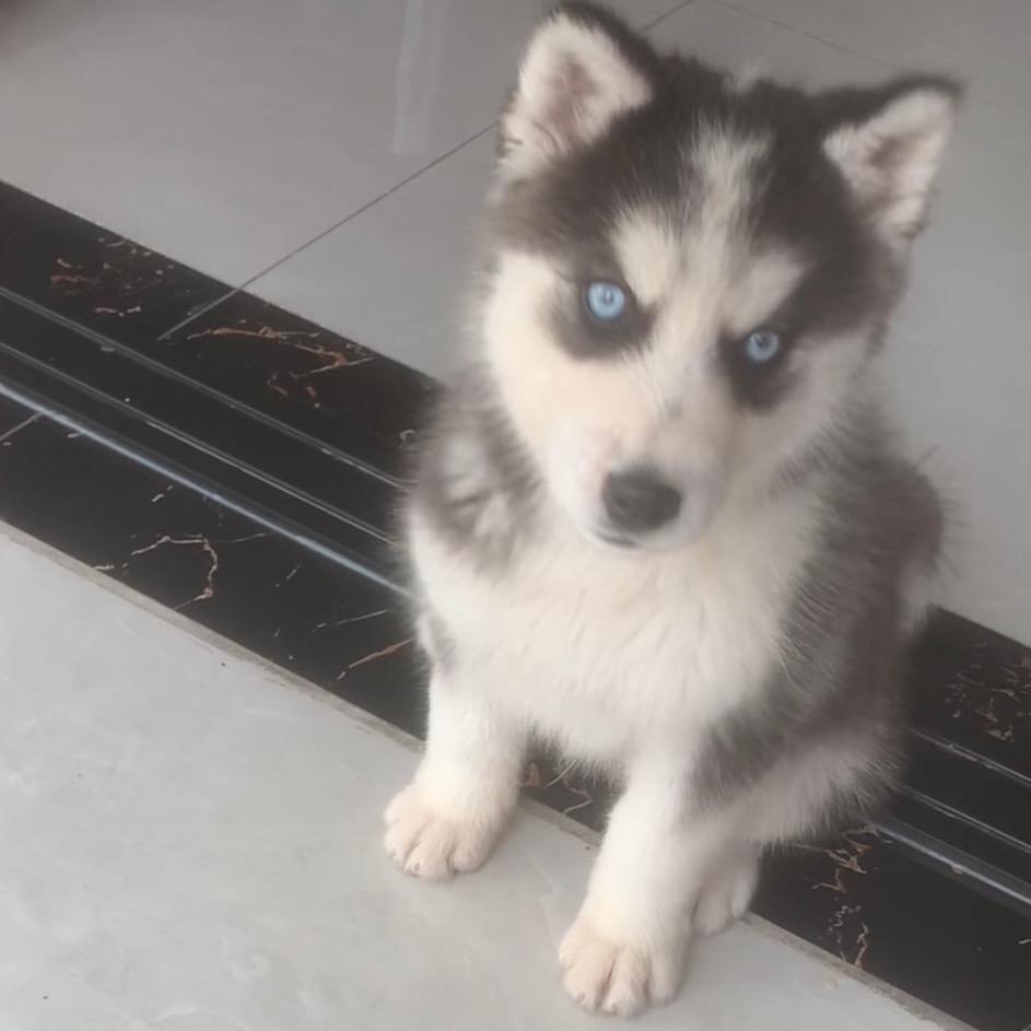 改革经济抡大锤