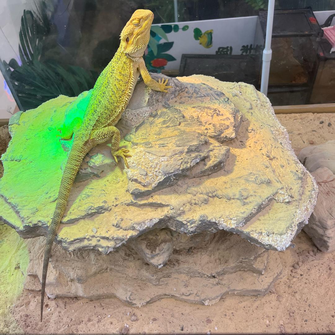 @💕₅²⁰余生ഒᩚ安好¹ᶟ₁₄: