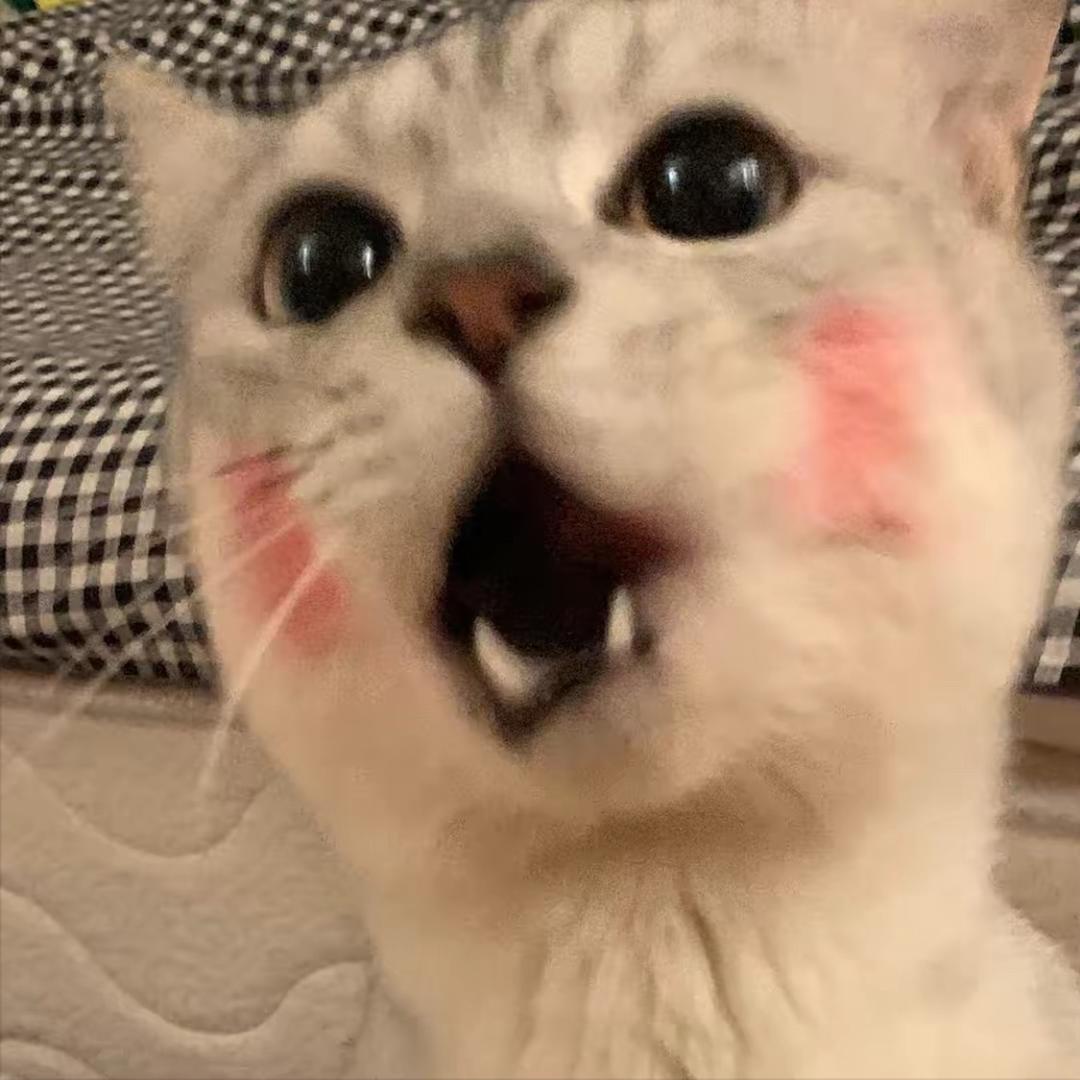 是小可吖
