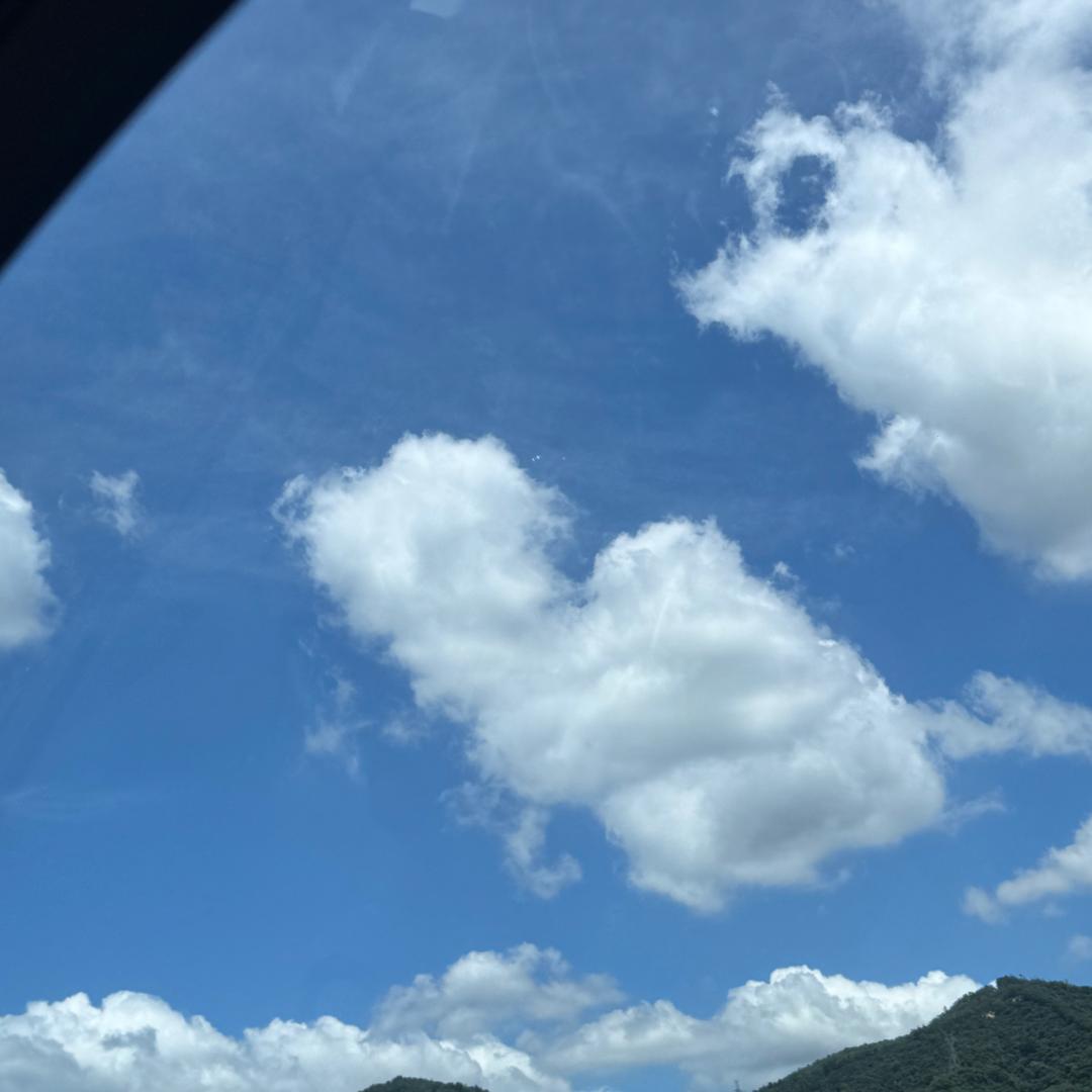 Z。