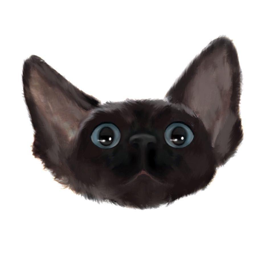 呆哪儿Devon Rex