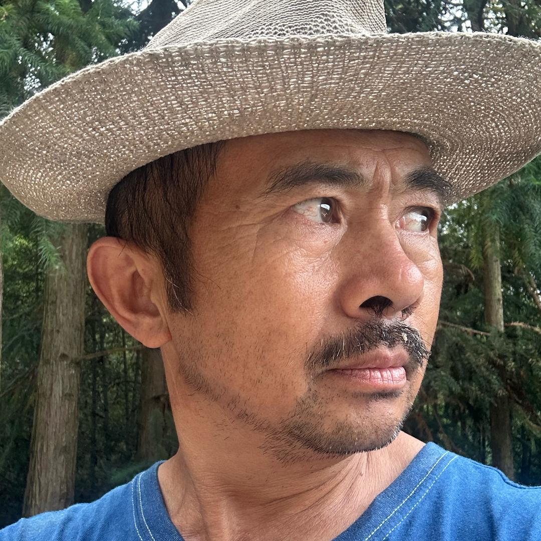 忧郁华歌