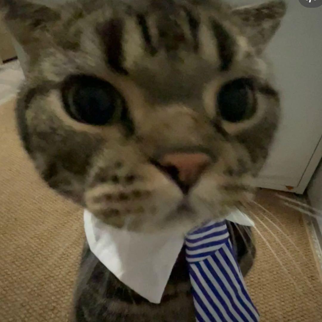 AAA王中王火腿肠批发