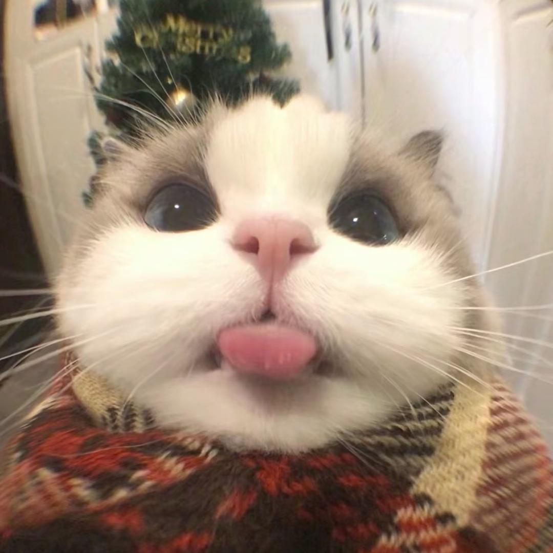 sssye