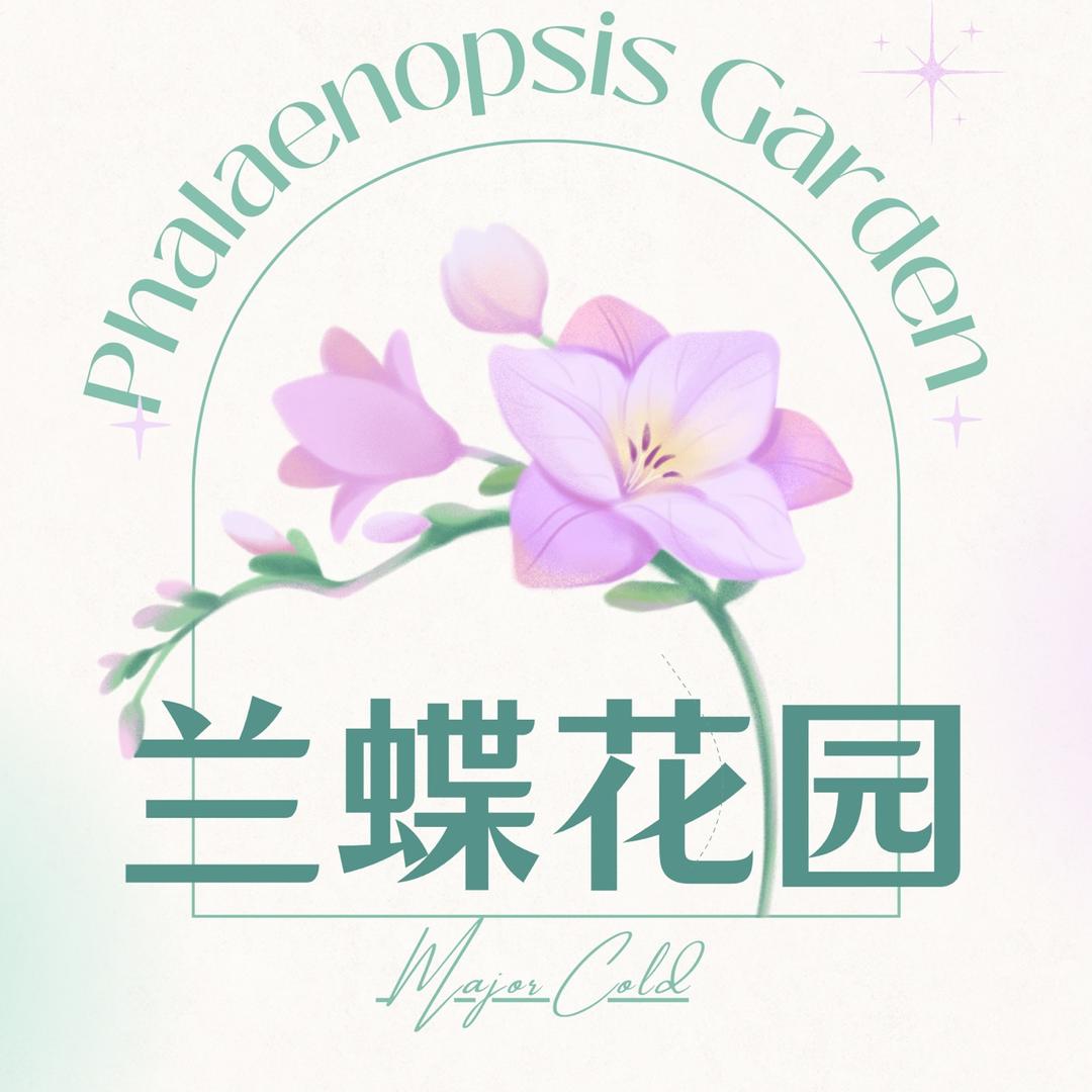 兰蝶汇