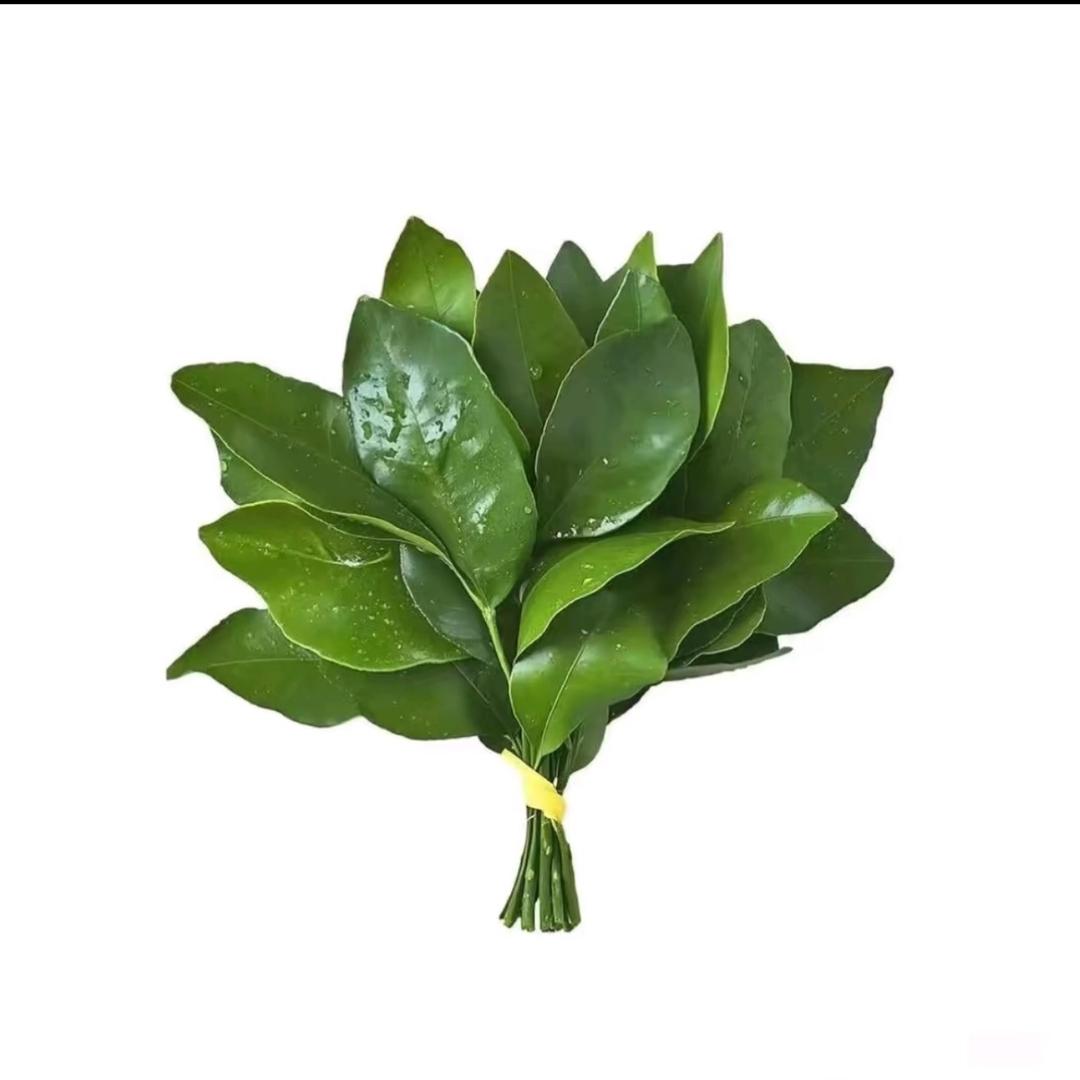 小乔我了