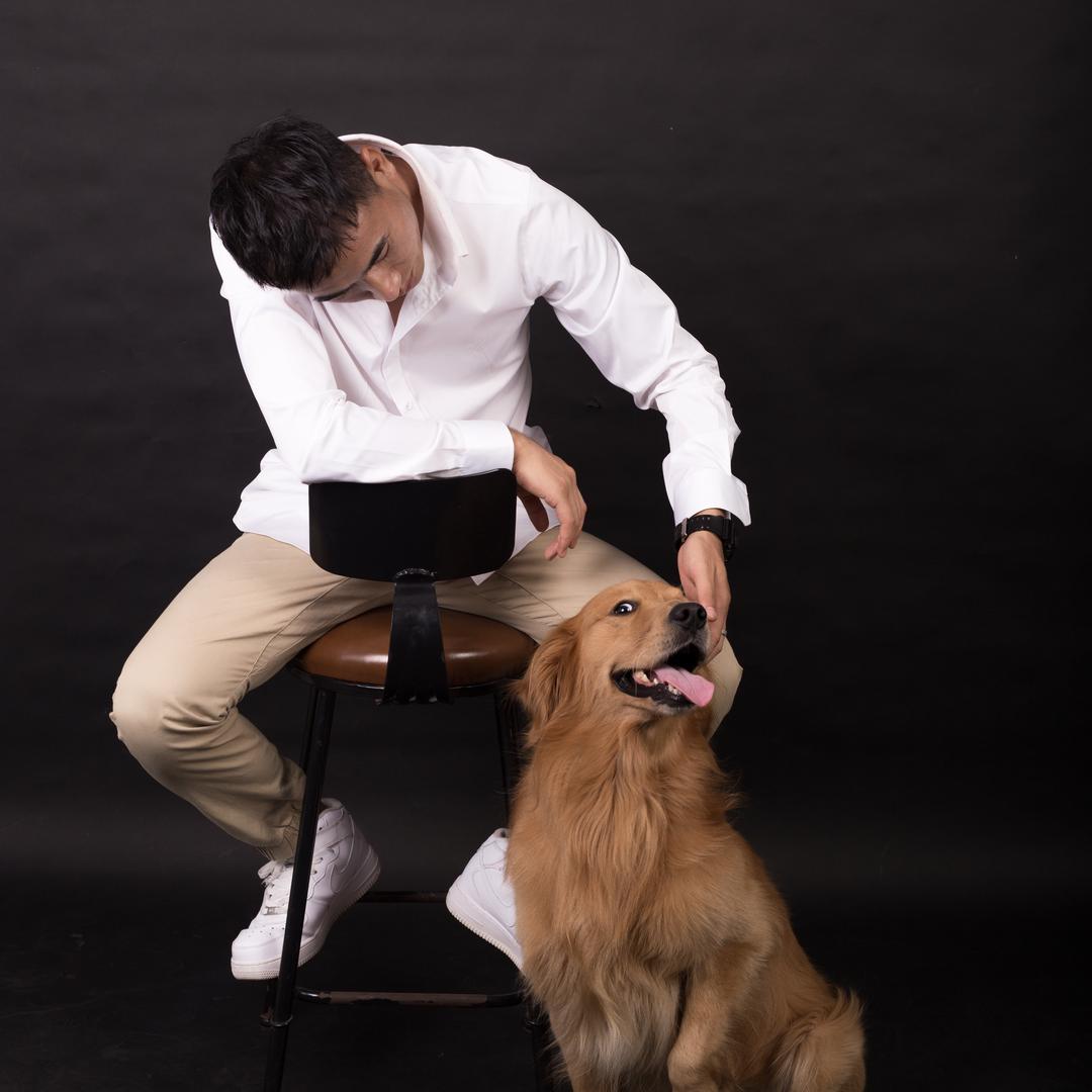 雷夫训犬