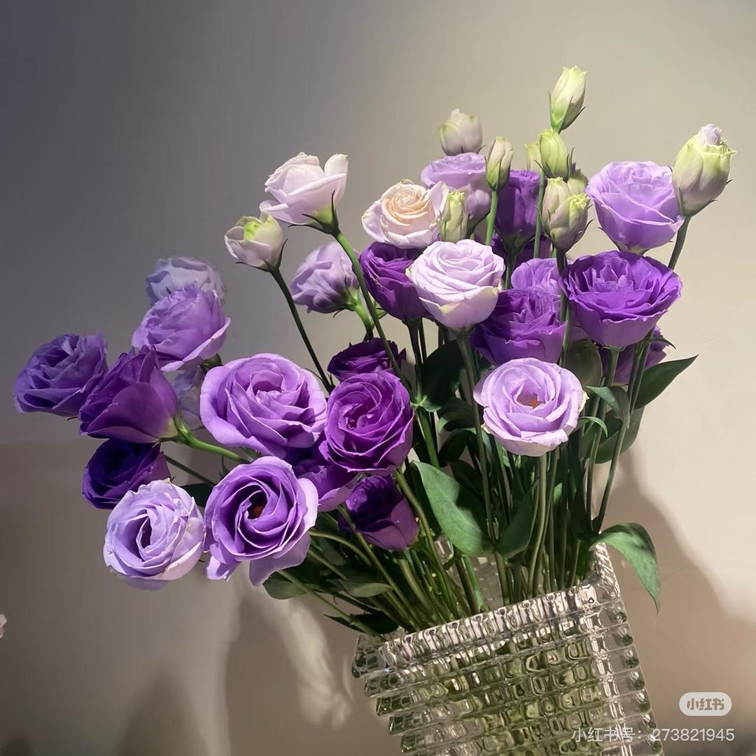花+生活.鲜花