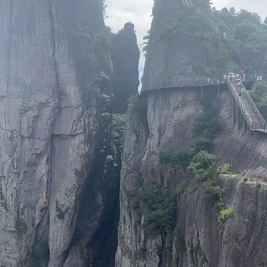 雷进