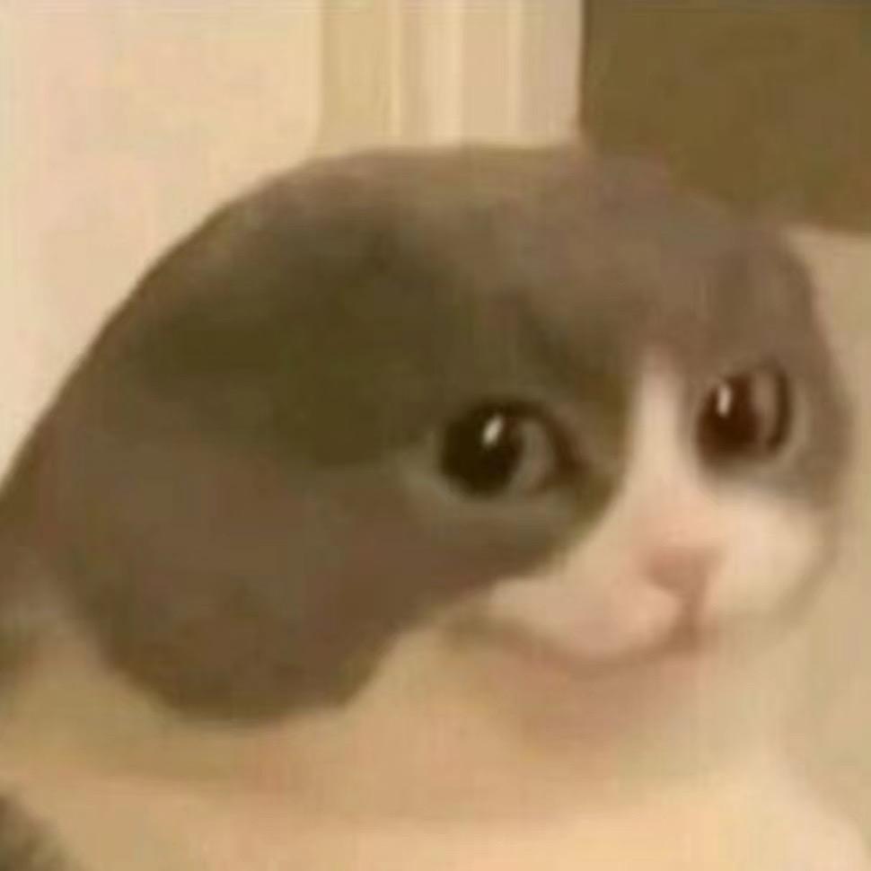 奶绿NL