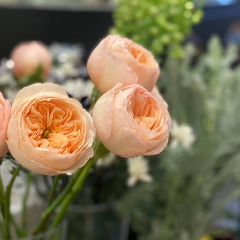 内江花礼鲜花店