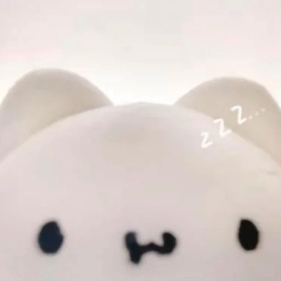 帕尼尼我吃吃吃