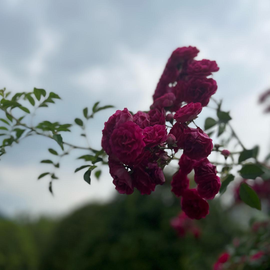 এ᭄²⁰25໑善待&自己$^_^
