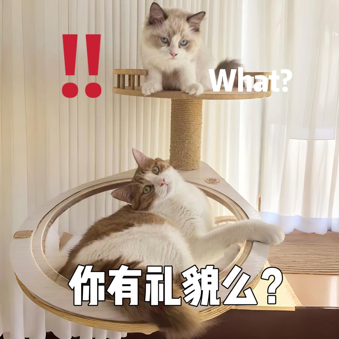 船长