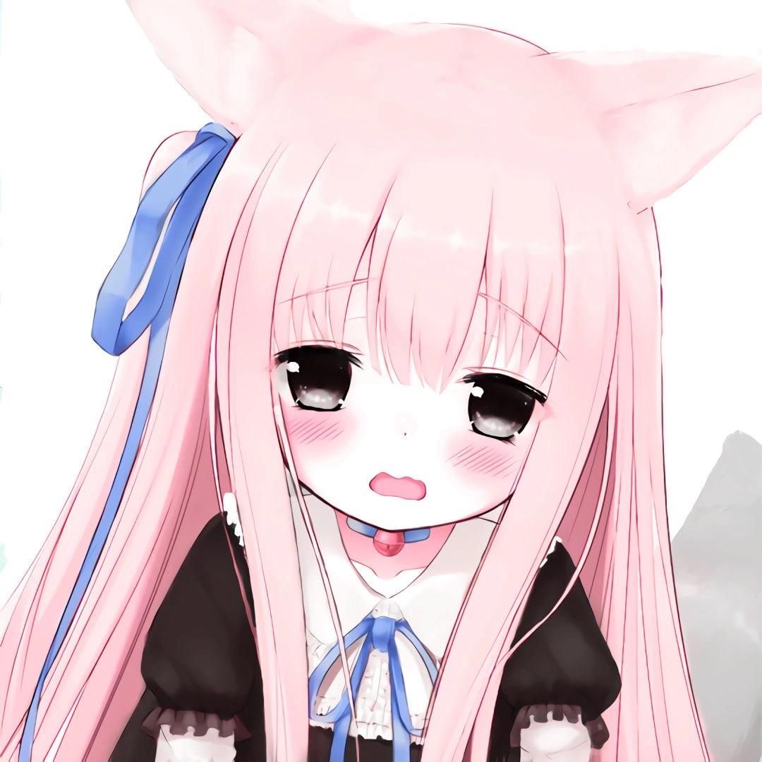 小猫真的晕了