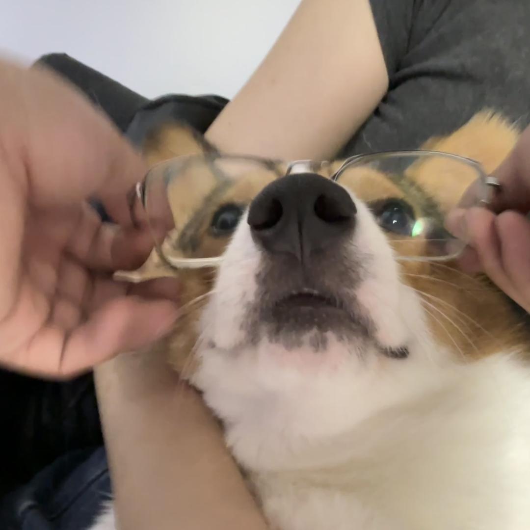 麻薯麻薯